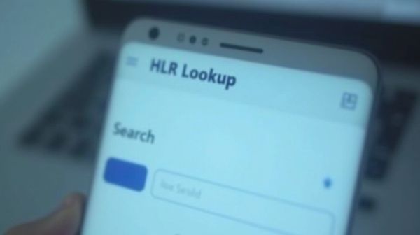 Vérifier le statut de vos numéros mobiles avec HLR Lookup